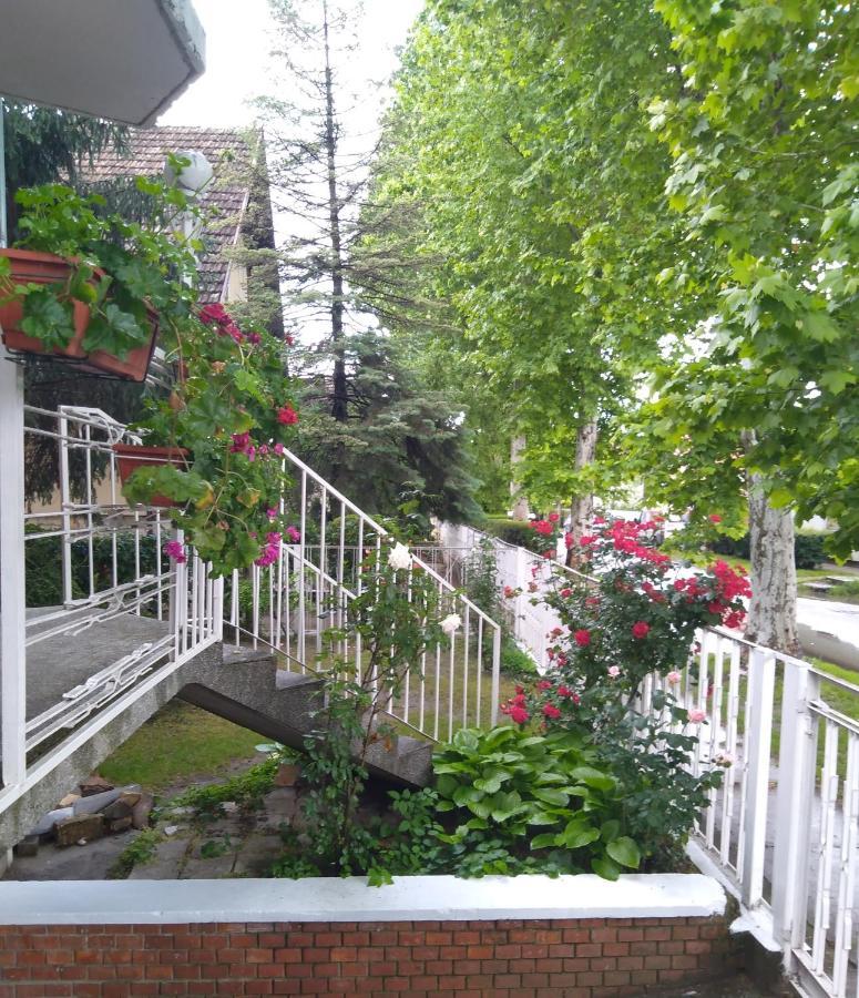 Sandrea I Apartment 수보티차 외부 사진